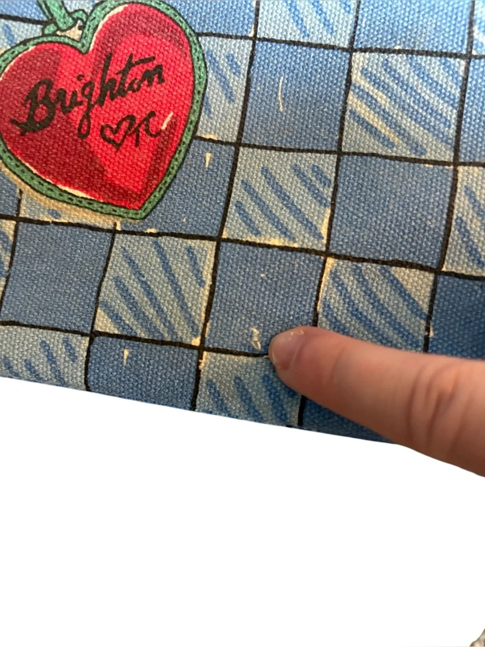Brighton Cosmetic Bag